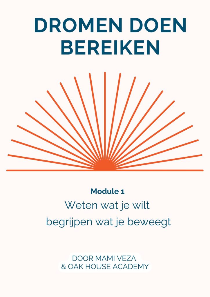 Foto Dromen Droen Bereiken Module 1