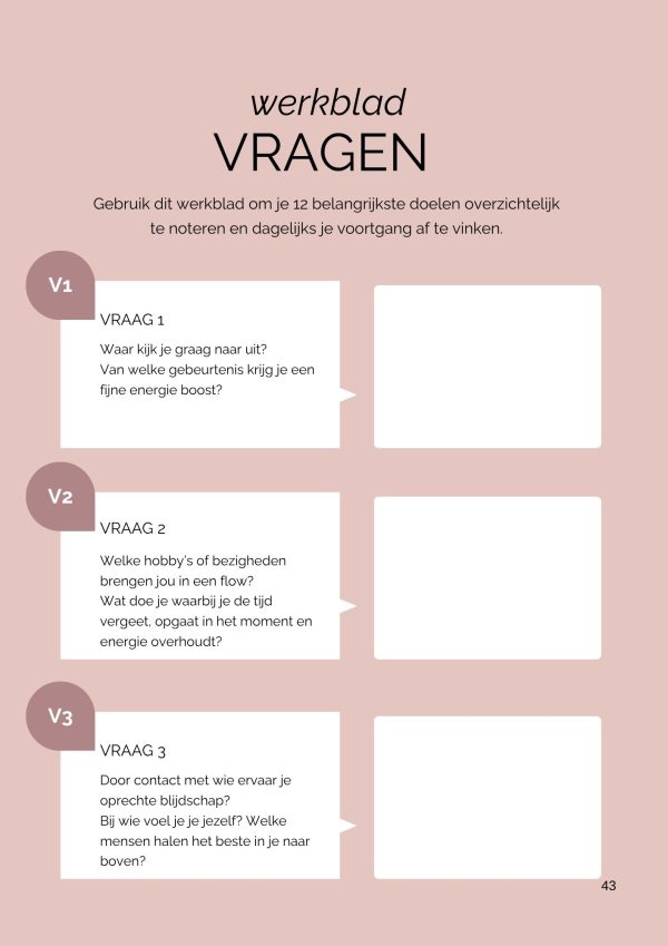 Dromen Doen Bereiken Module 1 - Afbeelding 6