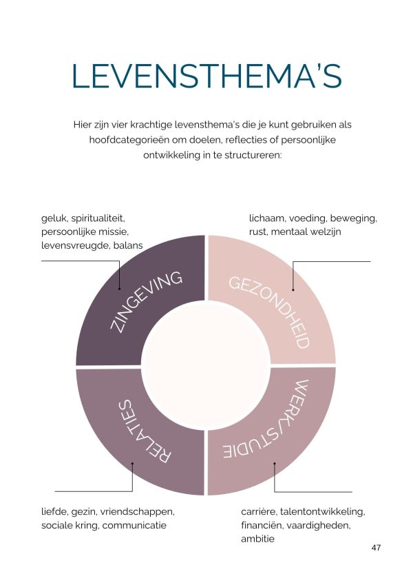 Dromen Doen Bereiken Module 1 - Afbeelding 7