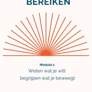 Foto Dromen Droen Bereiken Module 1